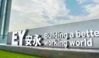 四大会计师事务所招聘